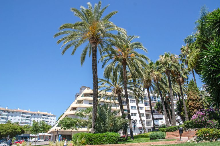 San Pedro de Alcántara, Marbella