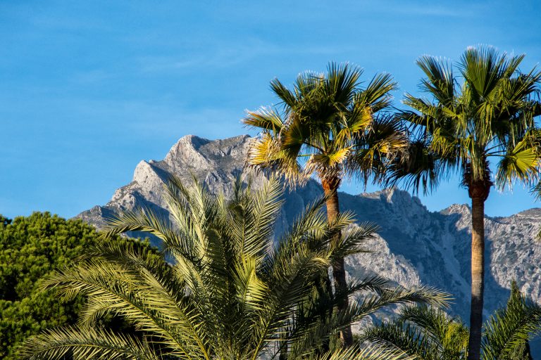 Sierra Blanca and Nagueles, Marbella