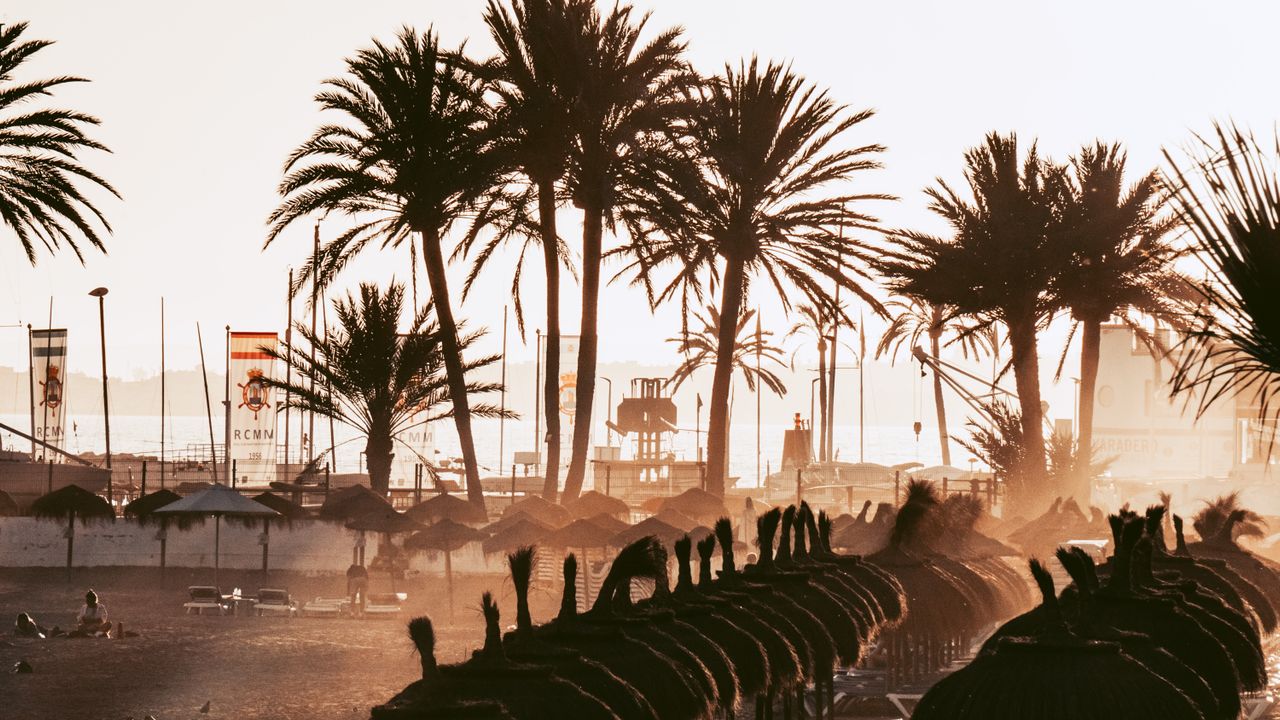 Elviria vs Marbella’s Golden Mile The Greener Side of Luxury Living