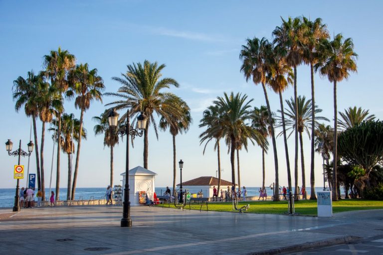 San Pedro Playa Area Guide