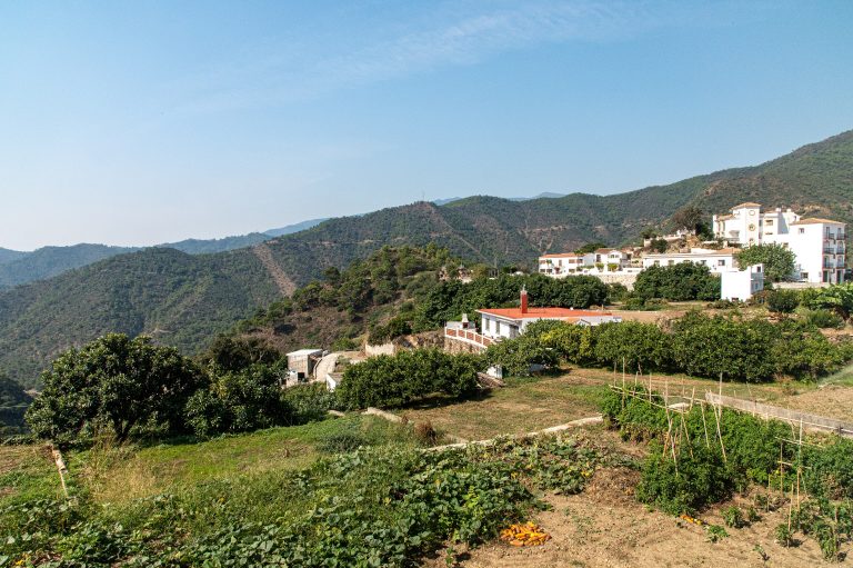 Istan Area Guide