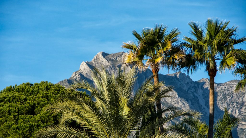 Why Sierra Blanca Defines Exclusive Living in Marbella