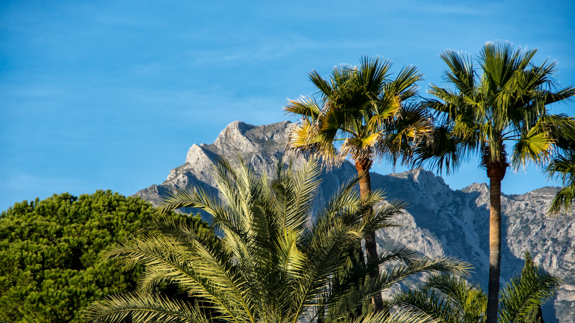Why Sierra Blanca Defines Exclusive Living in Marbella