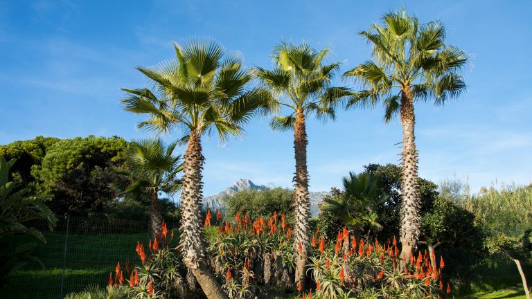 Golden Mile, Marbella