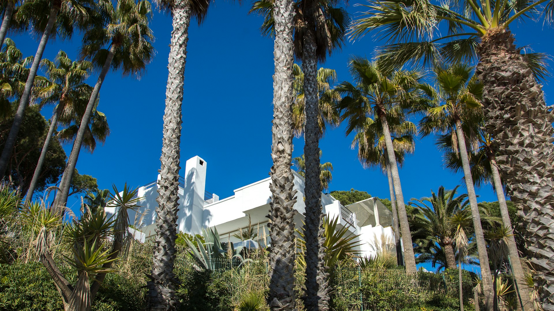 Marbella Golden Mile Lifestyle