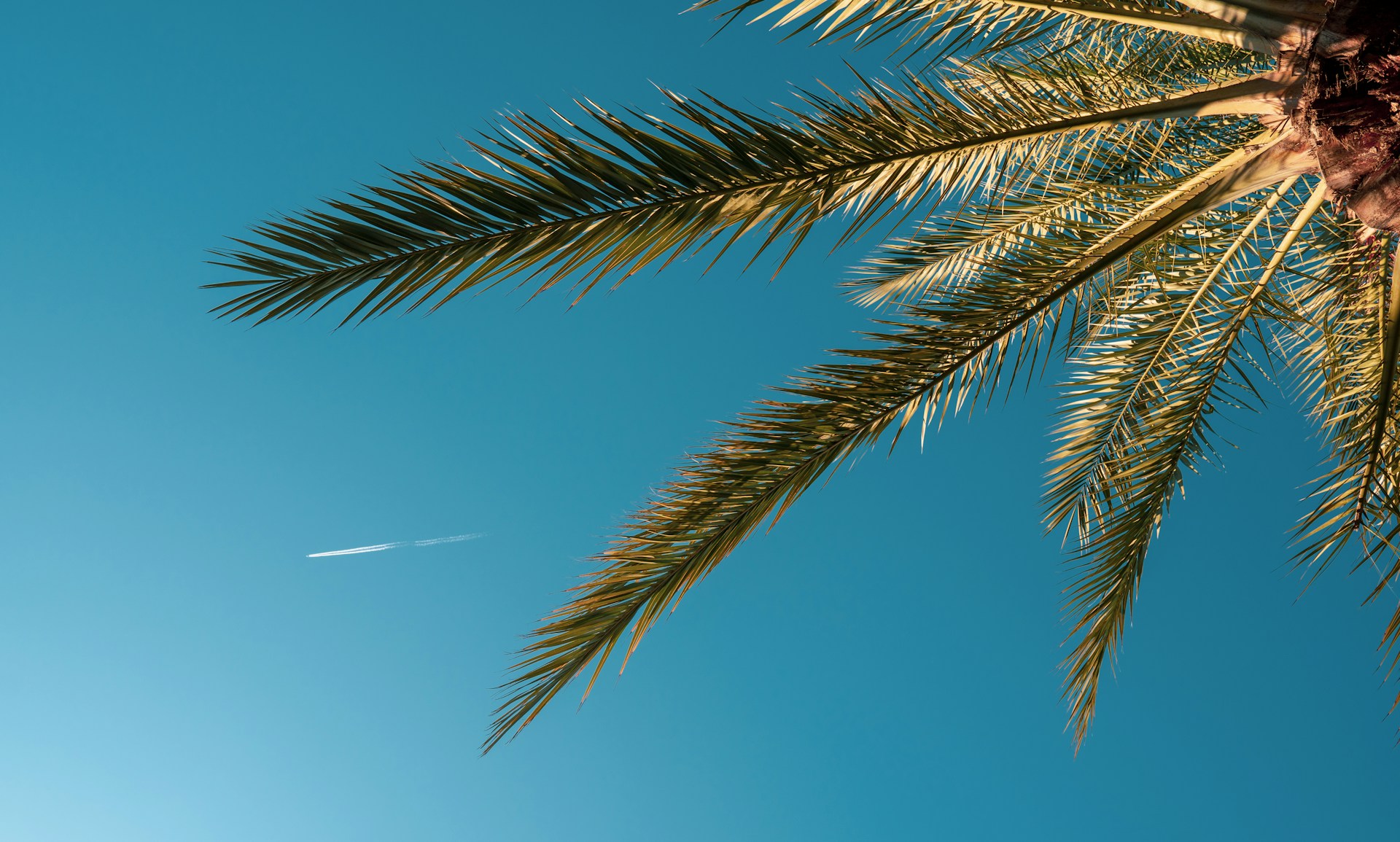 Why Buyers Are Choosing Las Chapas Marbella for a Peaceful Coastal Lifestyle