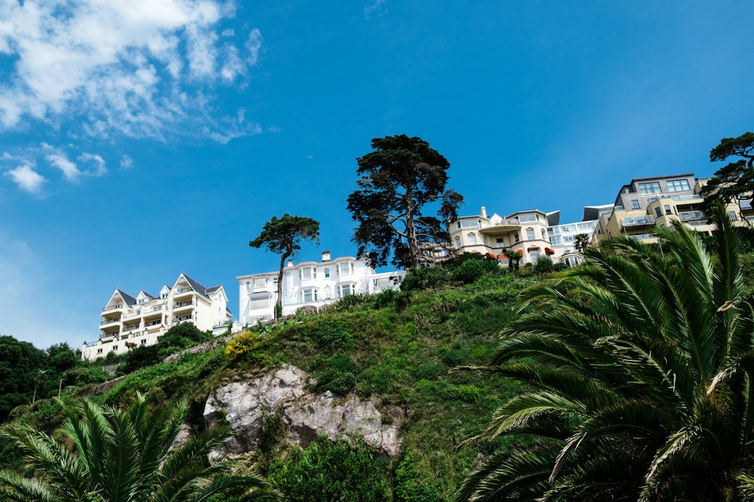 British Buyers Top Costa del Sol Property Reservations